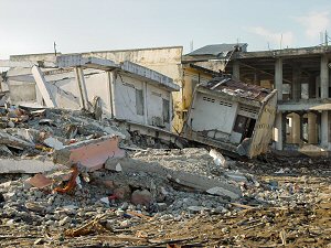 The complex issues surrounding the aftermath of the Indonesian tsunami in 2004 required skilled management and careful handling.